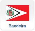 Icon Bandeira