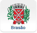 Icon Brasão