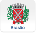 Icon Bras&atilde;o