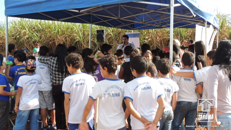 Plantio de Arvores na Semana do Meio Ambiente