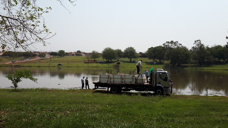 pesca_(1)