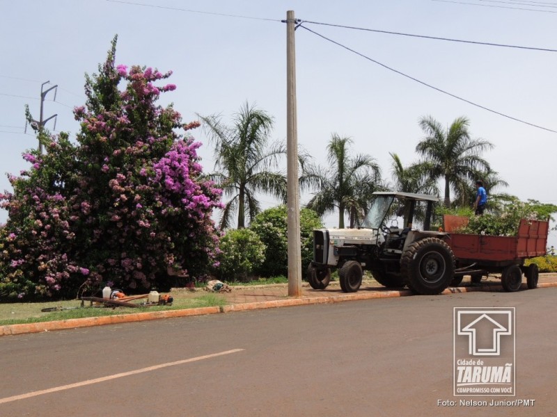 manutencao_area_verde_novembro_14_(1)