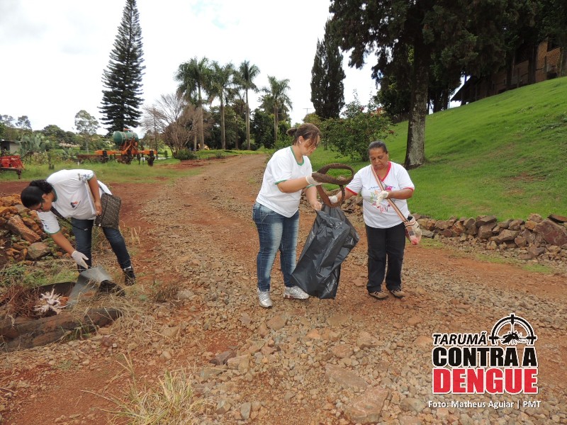 taruma_contra_dengue_(1)