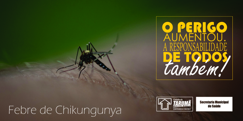 Saiba mais sobre a Febre Chikungunya, nova doença que tem sinais que lembram à dengue