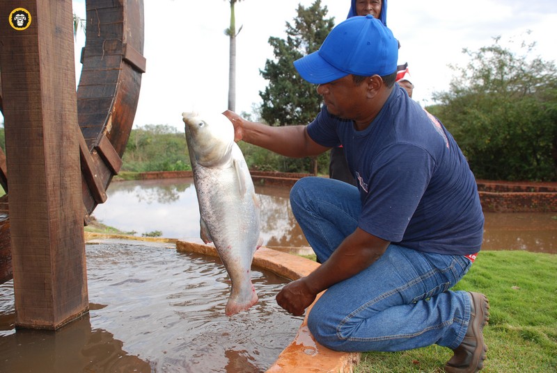 Tarumaense pesca carpa de 6kg no Rio Tarumã