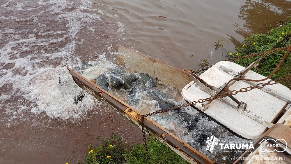 campeonato_pesca