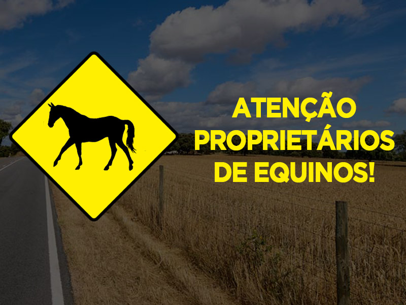 equino_multados
