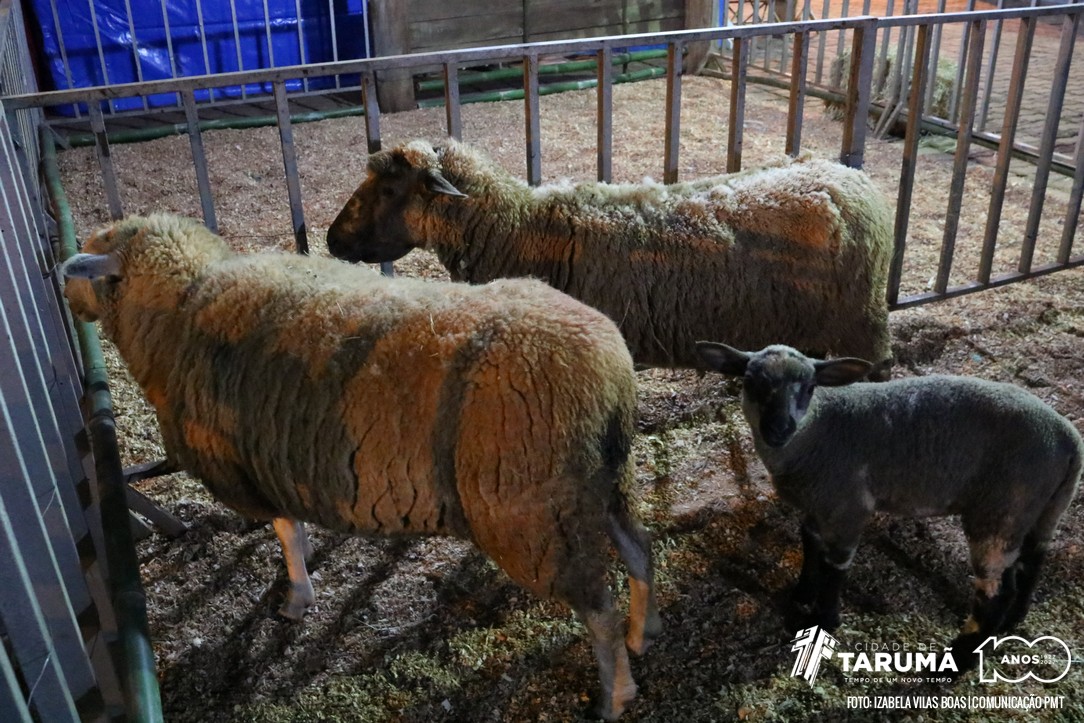 produtorrural2018