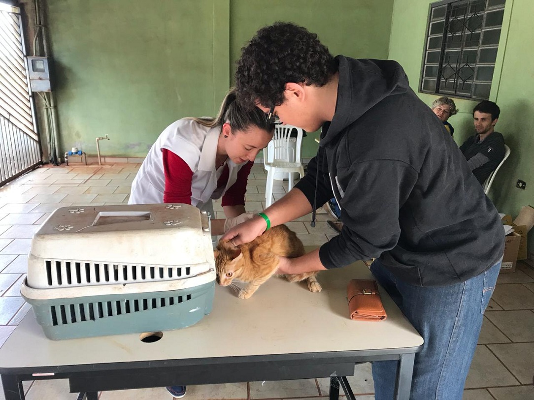 vacinacaoantirabica2018