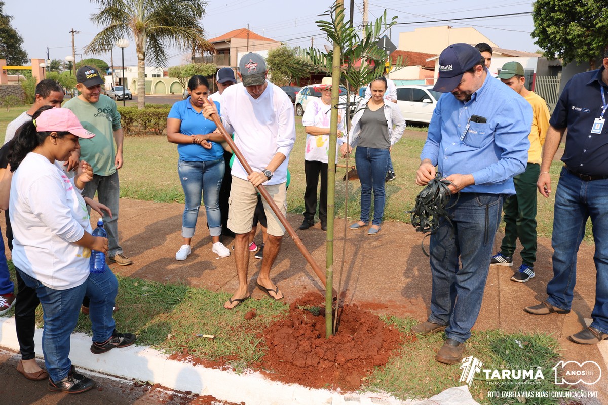 plantiovidaativa19