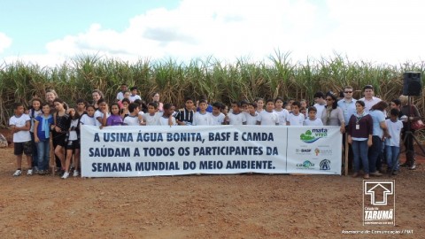 Plantio de Arvores na Semana do Meio Ambiente