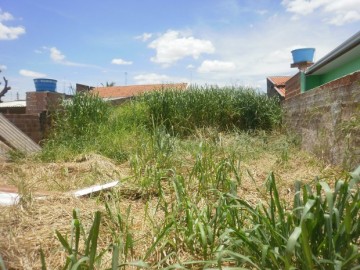 terreno_