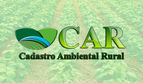 CAAR