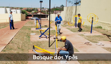 bosquedosypes