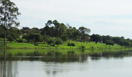 pesca_top