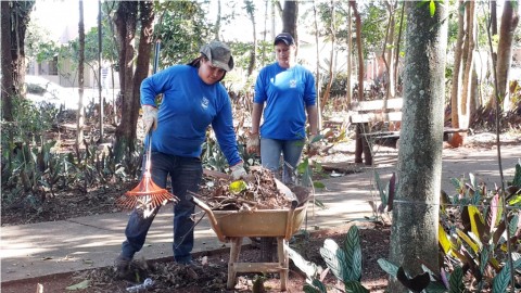 Limpeza Bosque_Junho2015