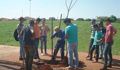 plantio_setembro_2015_capa