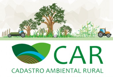 CAR_2015