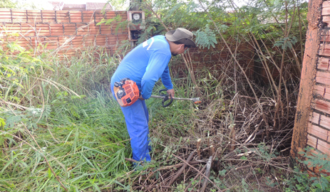 cap_limpeza_terreno