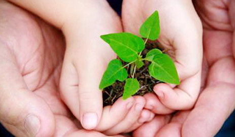 sustentabilidade_capa