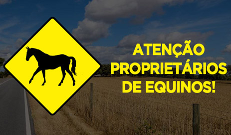 capa_equino_multados