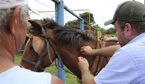 capa_cadastro_equinos